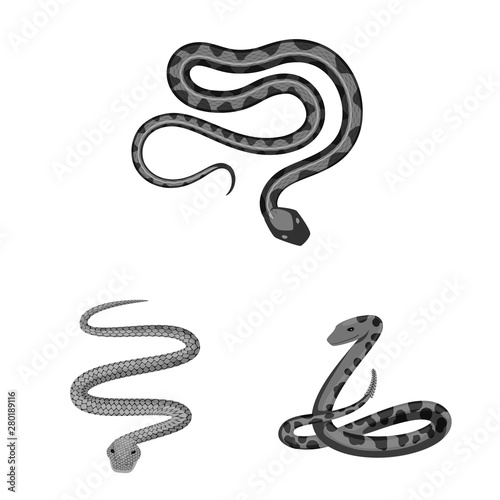 Vector design of harm and bite symbol. Set of harm and reptile stock vector illustration.