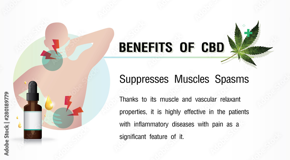 Obraz premium benefits of cbd suppresses muscles spasms Medical uses for cbd oil,backgrounds,vector on white background and poster