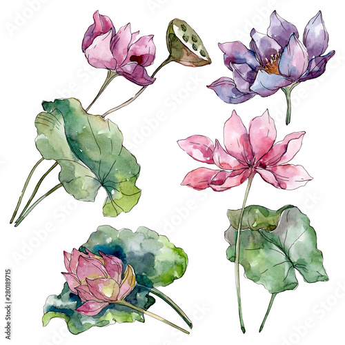 Obraz na plátne Lotus floral botanical flowers
