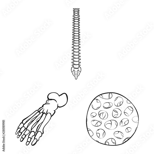 Vector design of medicine and clinic logo. Collection of medicine and medical stock symbol for web.