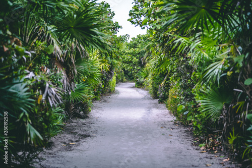 A gravel stone road in the jungle