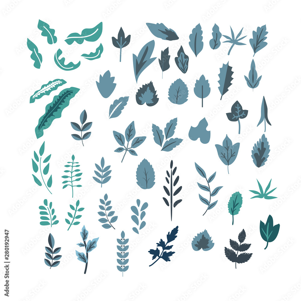 Set of leaves Set of leaves