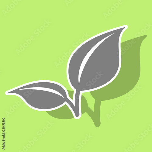 Fresh mint leaf. Sticker menthol healthy aroma. Herbal nature plant. Spearmint leafs