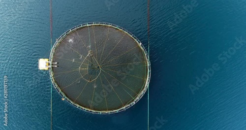 Salmon farm, cinematic top down zoom in shot of salmon fishing pools with salmon jumping under nets, northern Norway / Lofoten islands
