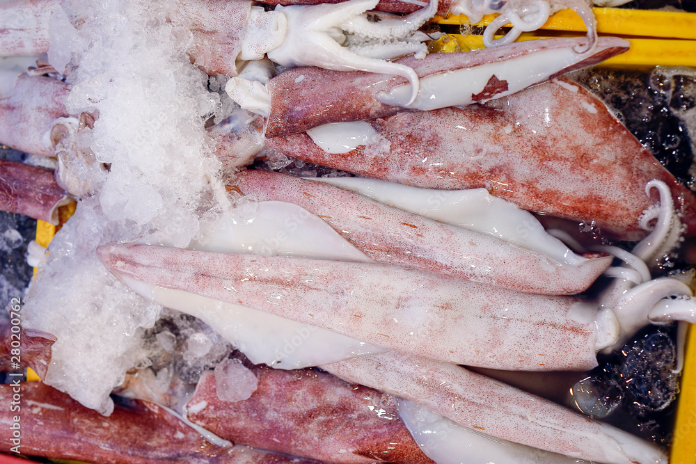 Fresh squid calamari  cuttlefish at weekly street market