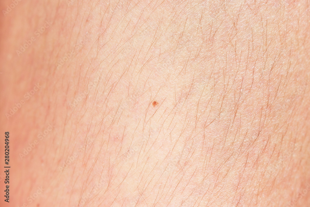 Fototapeta premium hairy legs before epilation with long black hair.