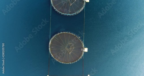 Salmon farm, cinematic top down fly over shot of inline arranged salmon fishing pools with salmon jumping under the net of farming pool, northern Norway / Lofoten islands