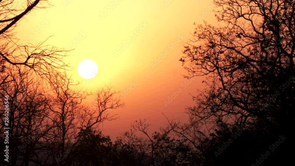 a zoom in shot of the setting sun at tadoba andhari tiger reserve in india