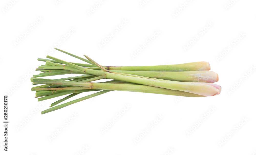 fresh lemon grass on over white background fresh lemon grass on over white background