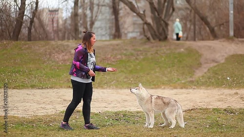 Beautiful girl playing with siberian husky puppy in the park,vintage filter