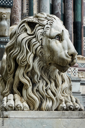 Marble lion in Genoa