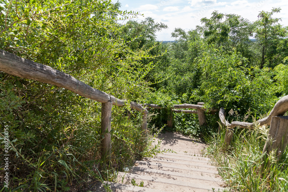 Fototapeta premium Treppe am Drachenberg in Berlin Grunewald