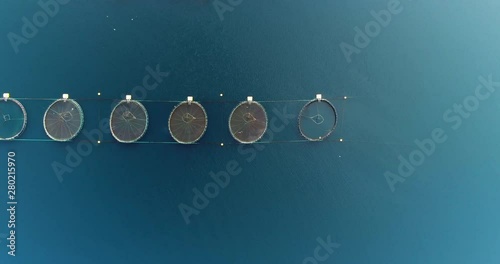 Salmon farm, aerial top down left to right pan shot of end of line arranged salmon fishing pools with salmon jumping and seagulls flying in scene, northern Norway / Lofoten islands