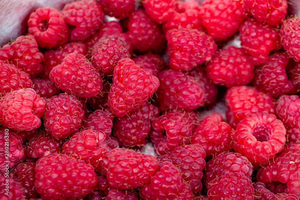 Raspberry growing on bush in a field Raspberry growing on bush in a field