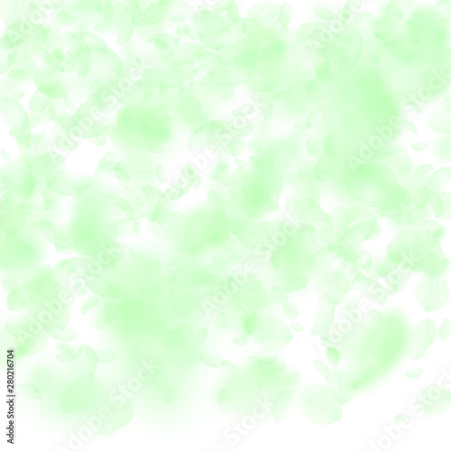Green flower petals falling down. Good-looking rom