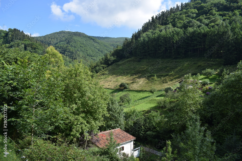 Praderas verdes en un valle entre montañas con bosques frondosos.