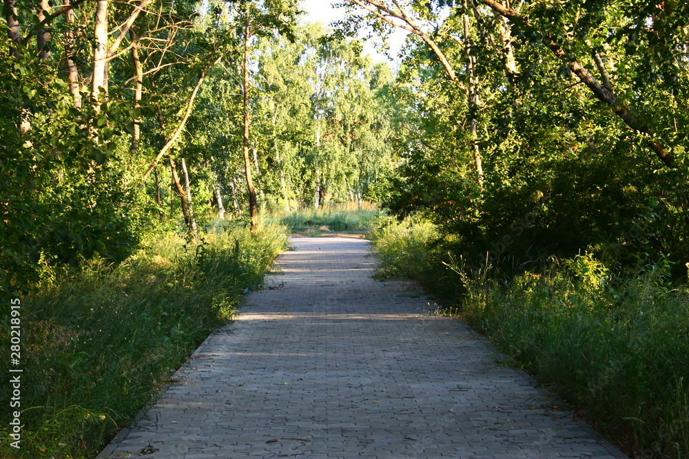 Тропа Тропа