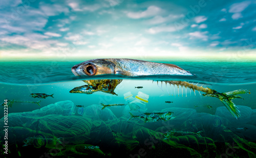 Canvas Print Plastic pollution in marine environmental problems Animals in the sea cannot live