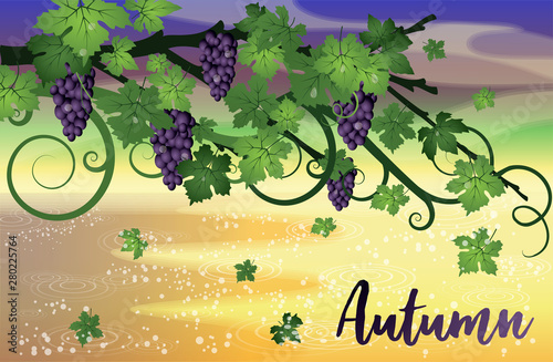 Autumn invitation wallpaper with grapes, vector illustration
