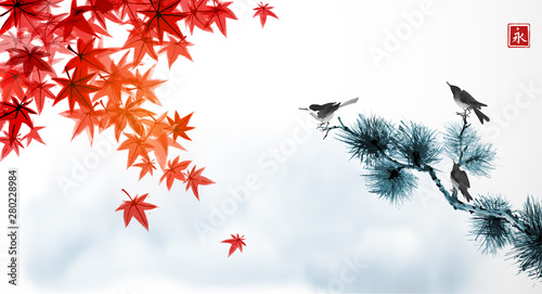 Landscape with red japanese maple leaves, blue cloudy sky and three birds on pine tree. Traditional Japanese ink wash painting sumi-e. Hieroglyph - eternity
