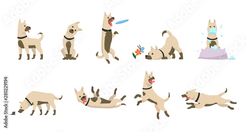 Cartoon dog set. Dogs tricks icons and action training digging dirt eating pet food jumping wiggle sleeping running and barking brown happy cute animal poses vector isolated symbol illustration.