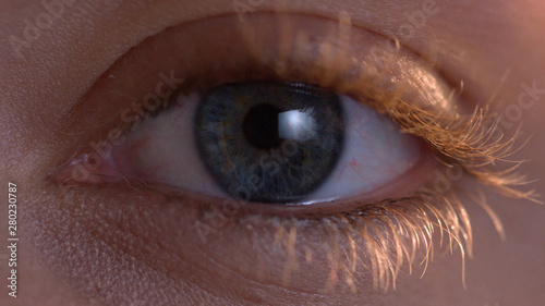 closeup of womans eye