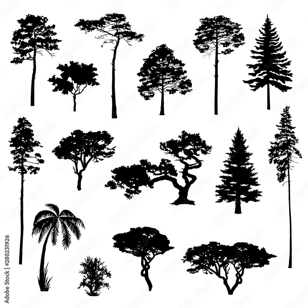 Fototapeta premium Silhouettes of the trees for design. Vector elements for landscape, background, banner, web-design, coniferous forest.