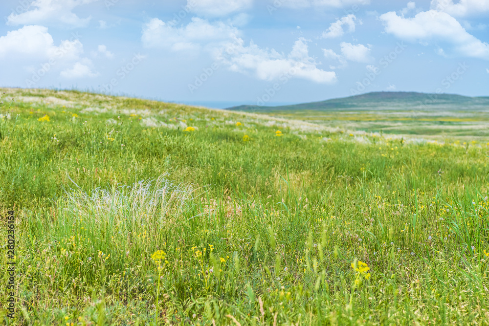 Fototapeta premium Crimea steppe- landscape park. Kerch peninsula