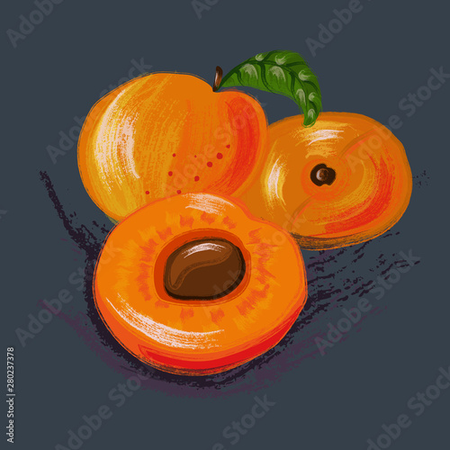 apricot, orange, food, isolated, fall, harvest, fruit