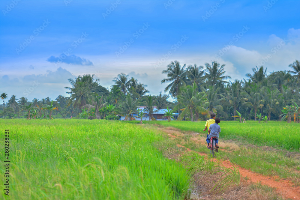 happy young local boy riding old bicycle at paddy field happy young local boy riding old bicycle at paddy field