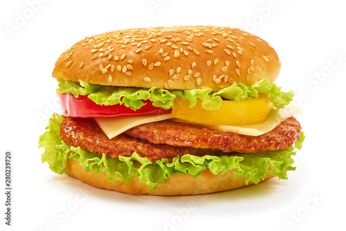 Fresh tasty burger, american hamburger, fastfood, isolated on white background
