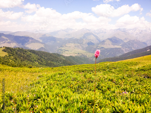 Tusheti National Park photo