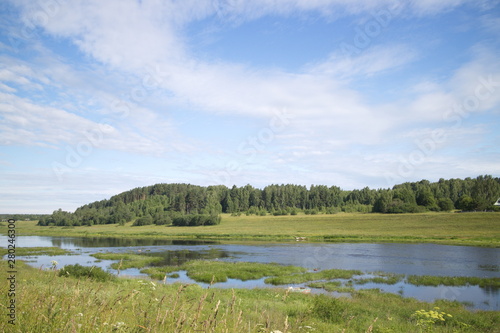 River in the countryside on a summer day