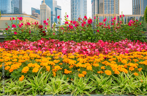 Tianfu Square in the flowers  Chengdu  Sichuan Province  China