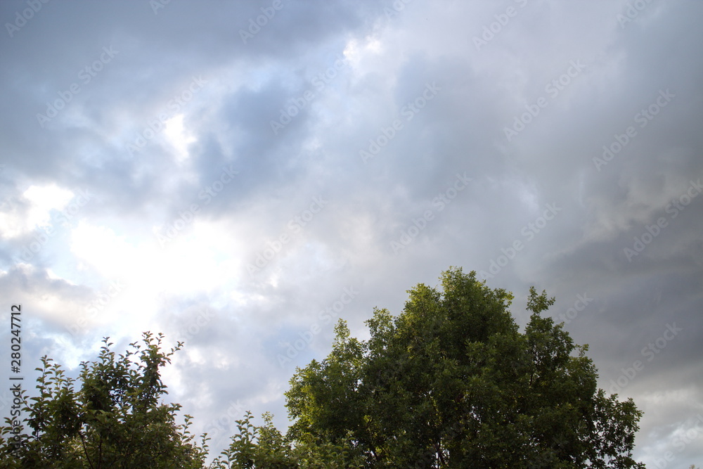 clouds over trees on a summer day clouds over trees on a summer day