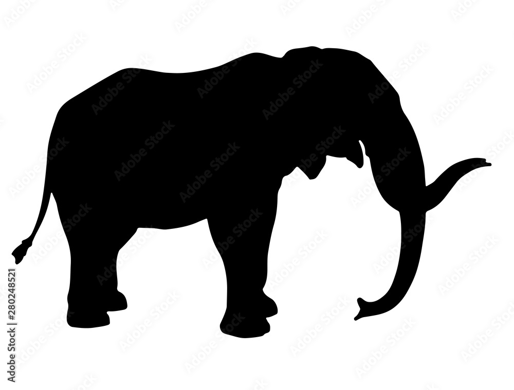 Obraz premium elephant silhouette vector