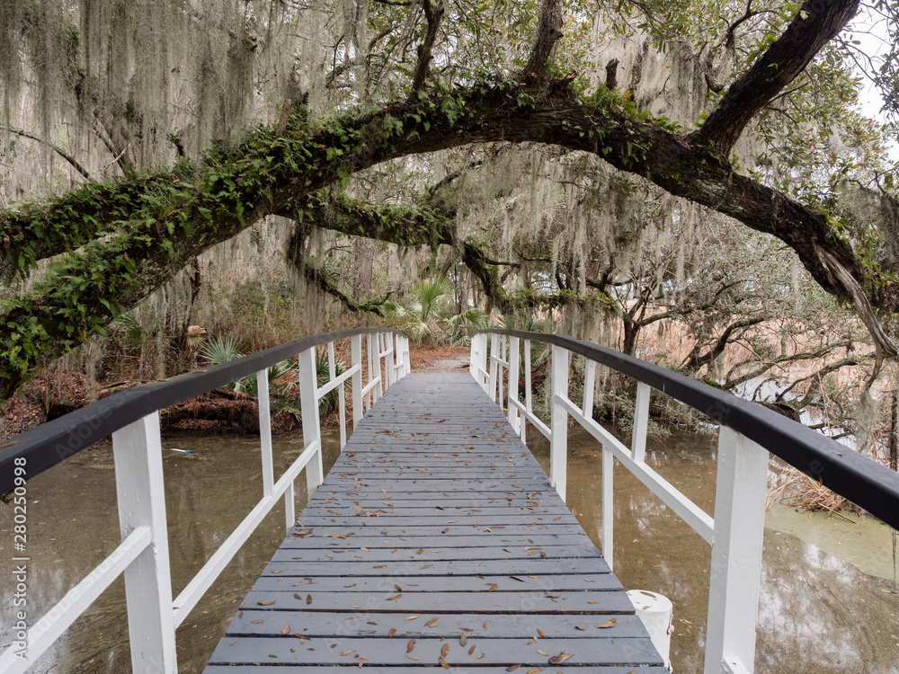Obraz premium White bridge in Magnolia plantation and garden near Charleston, South Carolina