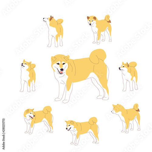 Set of shiba inu dogs. Isolated on white background. Flat style cartoon stock vector