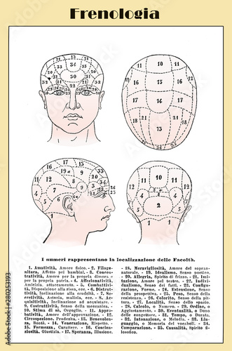 Obraz na plátně Alternative and pseudo-medicine: phrenology cart  about the brain localization o