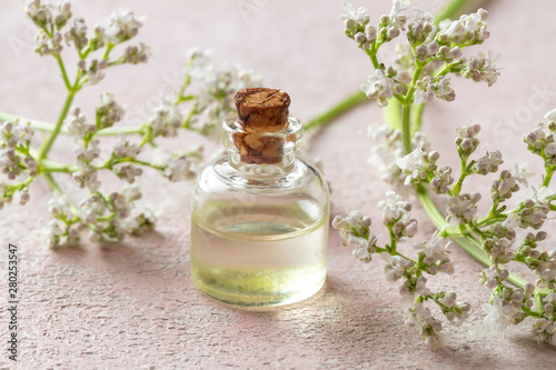 A bottle of valerian essential oil with valerian twigs