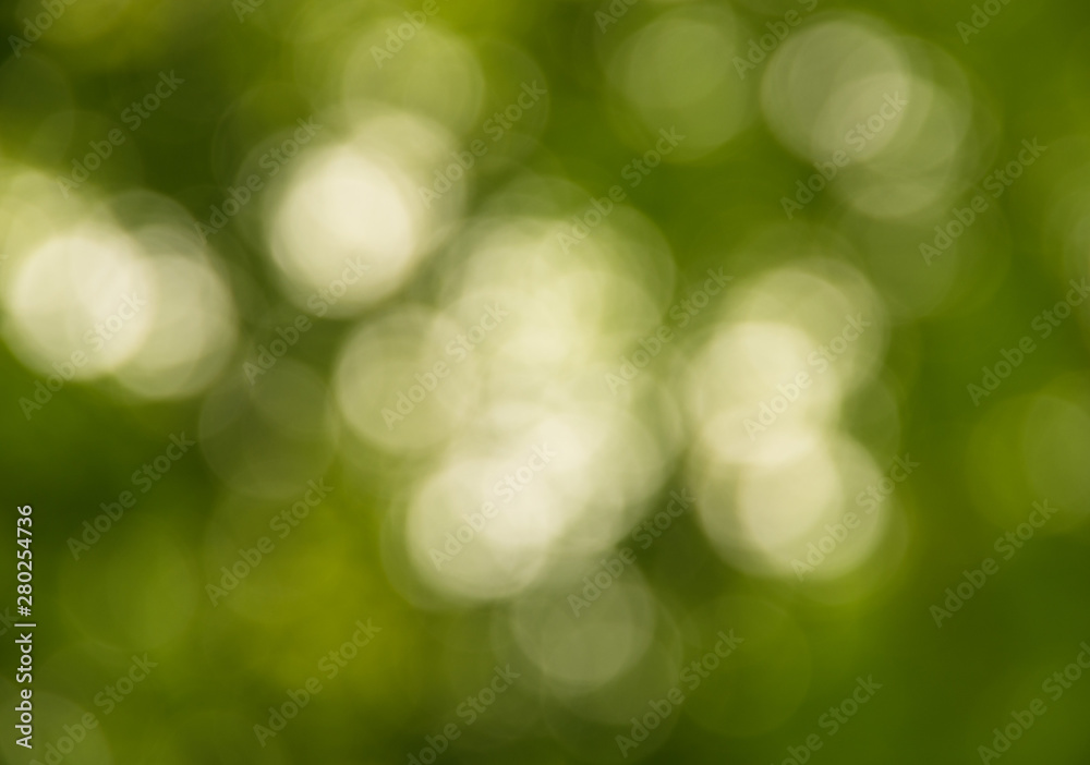 Natural blurred background.