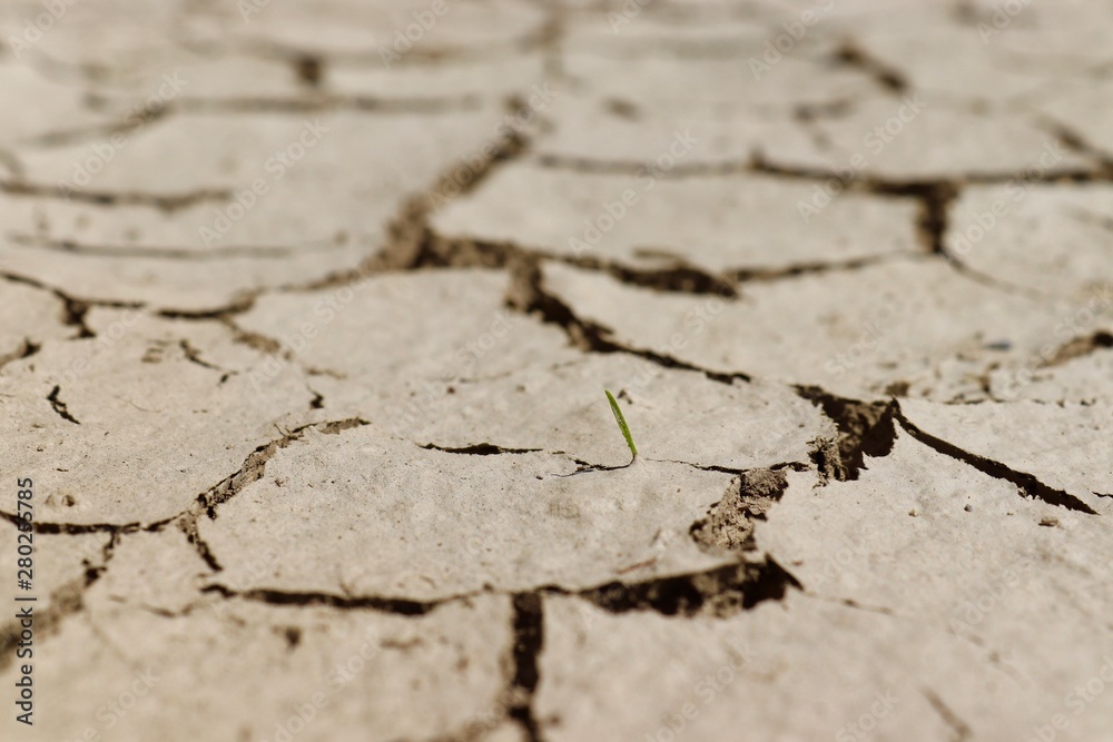 Obraz premium dry cracked earth