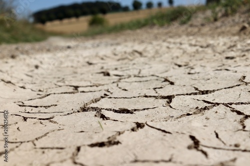 dry cracked earth