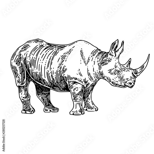 Standing  large rhino. Sketch. Engraving style. Vector illustration.