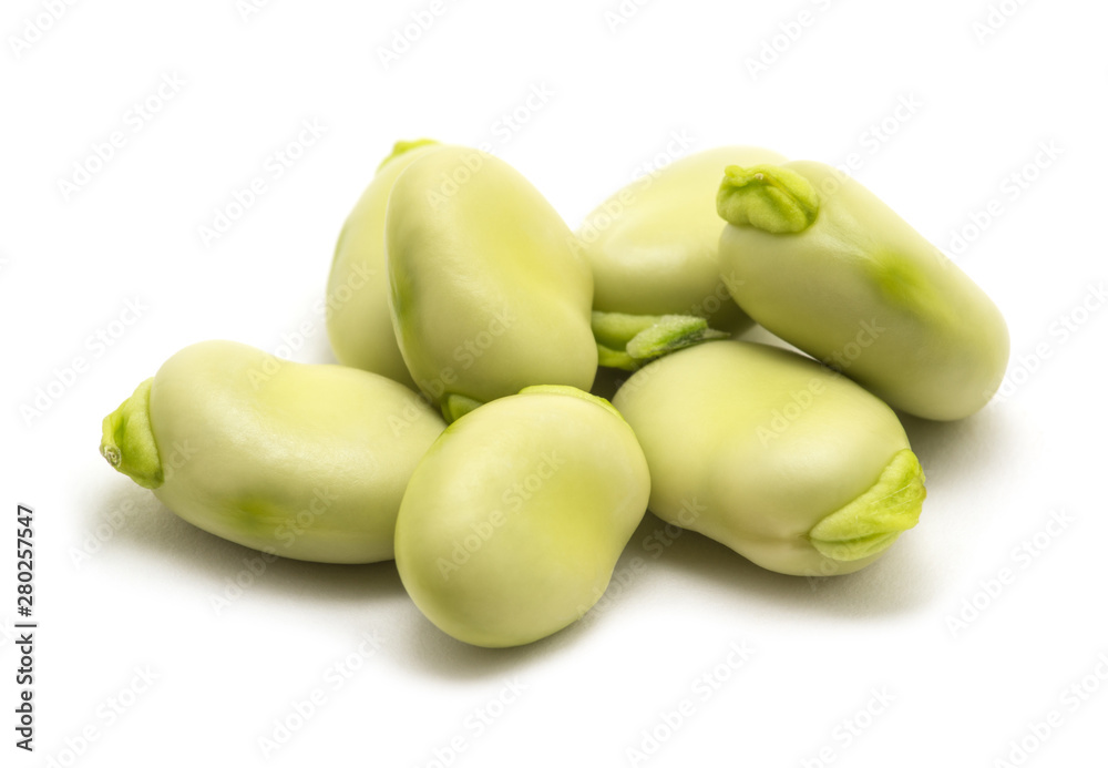 broad beans on white background broad beans on white background