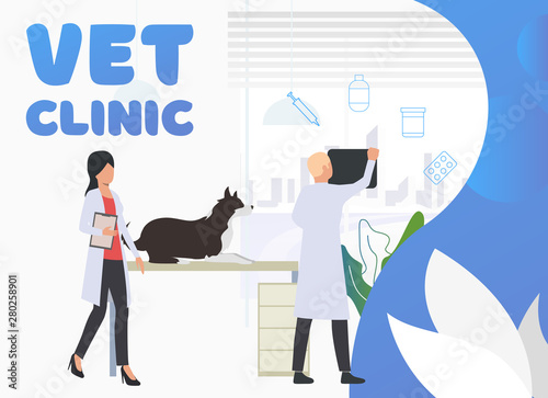 Veterinarians examining dog in vet hospital. Pet treatment, consultation, animal care concept. Poster or landing template. Vector illustration for topics like health, vet clinic, veterinary