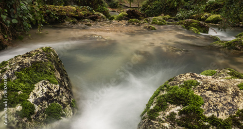 stones by the stream in the spring forest