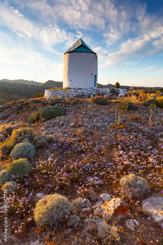 Old windmill and late spring flowers on Kimolos island in Greece. photo