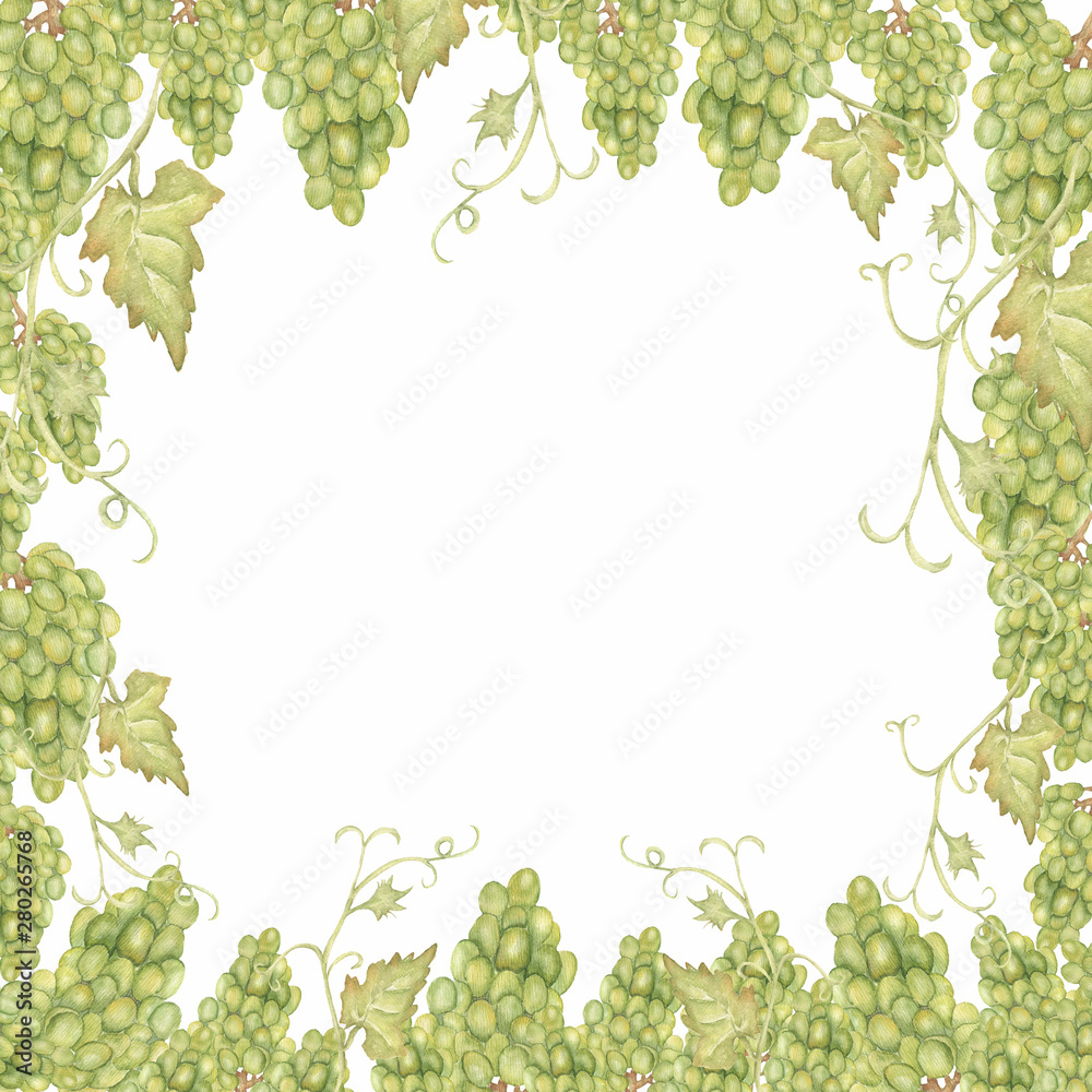 Beautiful Watercolor Hand drawn grapes frame in green and yellow colors. Beautiful Watercolor Hand drawn grapes frame in green and yellow colors.