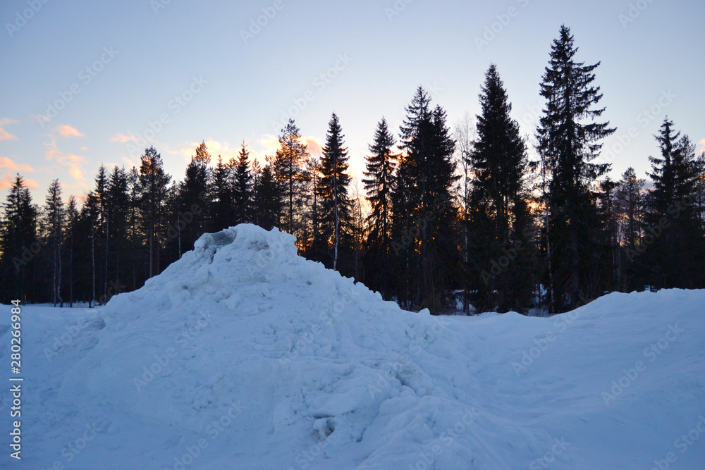 Bosque nieve